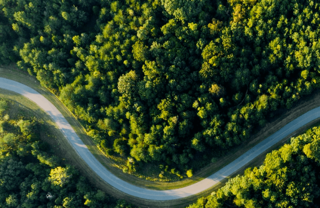 Sustainable e-commerce